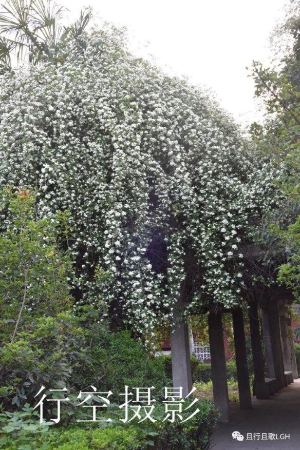 救援快乐的兔子