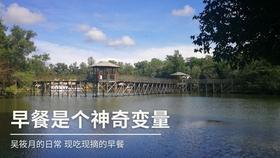 全民烧脑3去广告版