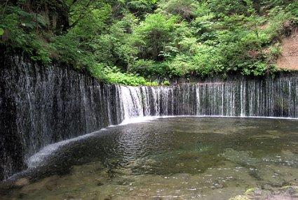 小长颈鹿逃离