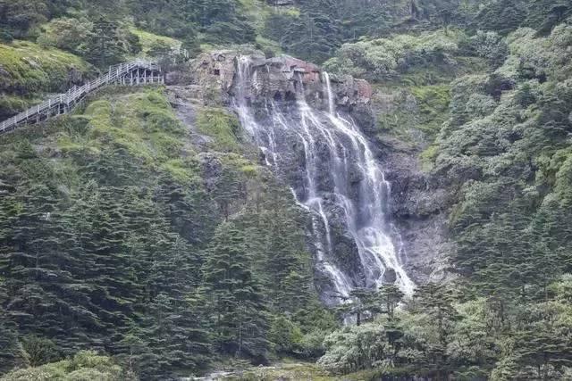 逃离外祖母家