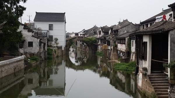 女巫的约定