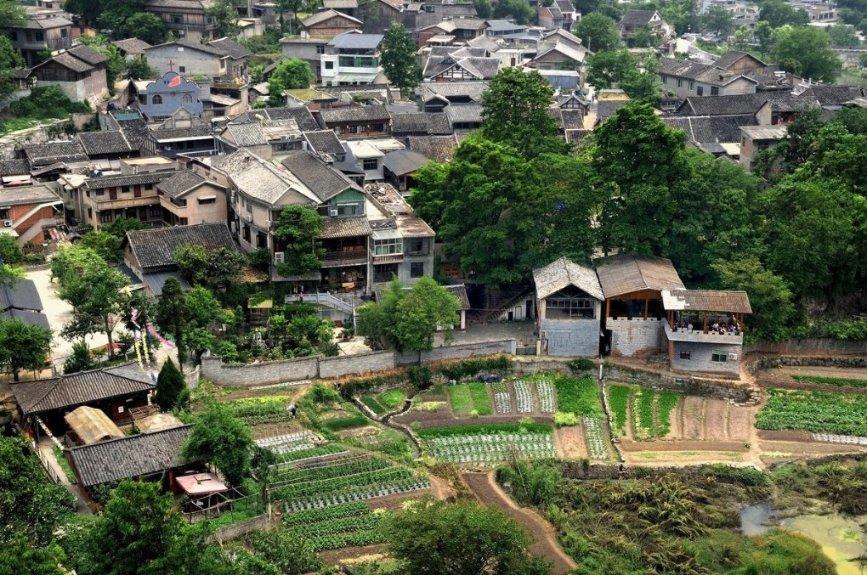 荒野八人组