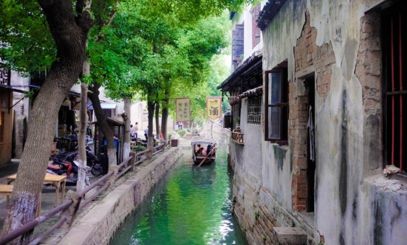 破碎的动物图形2