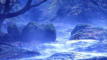 全民烧脑3去广告版